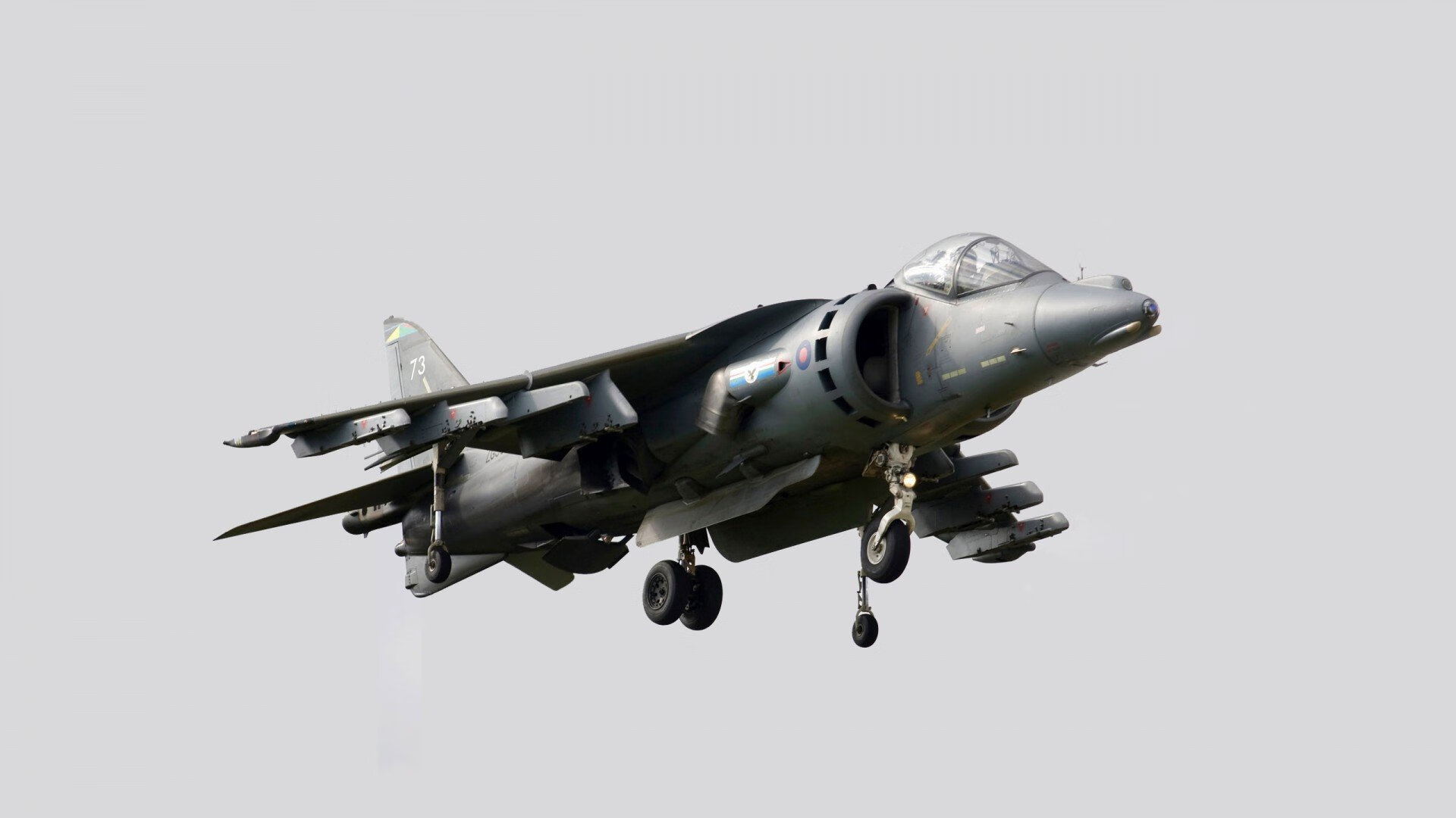 fb体育官网电脑版-观众的狂热：欧冠现场的疯狂应援和呐喊，欧冠 观众