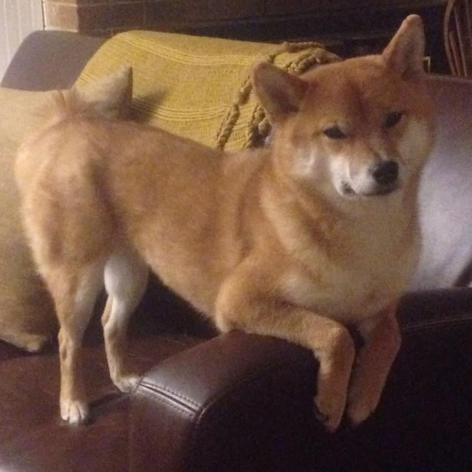 fb体育注册网址-天津荣钢球队替补球员表现突出，天津荣钢俱乐部