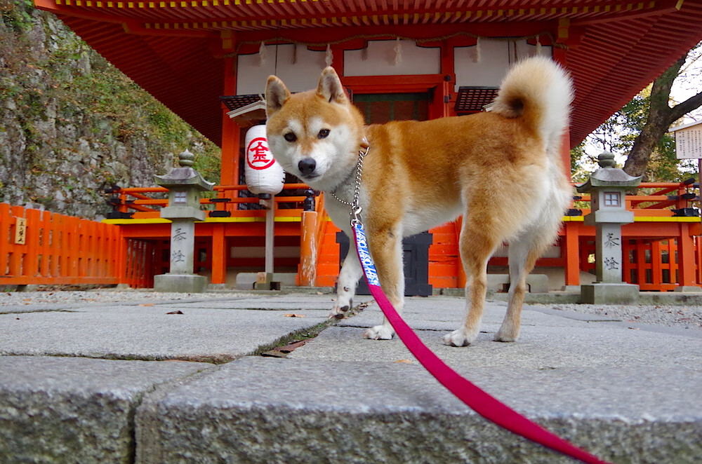 fb体育官网首页-中超俱乐部引入荣誉激励机制激发球员拼搏动力，中超俱乐部怎么盈利